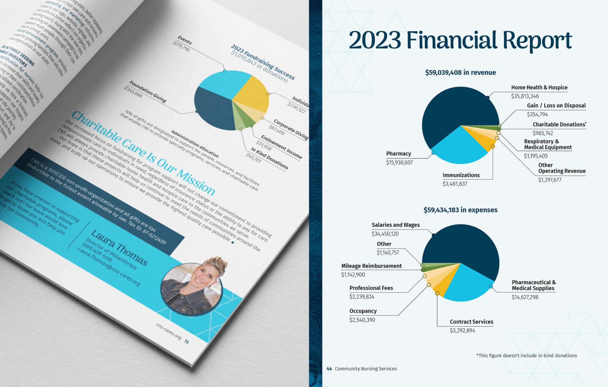 A mockup of pie chart infographic from the Community Nursing Services 2023-24 Annual Report